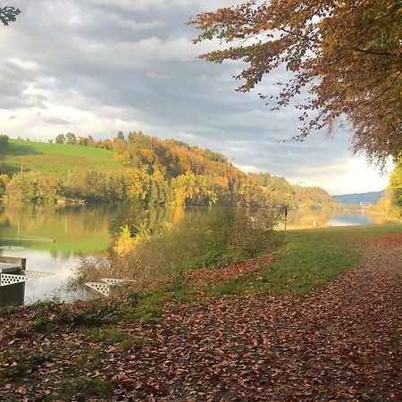 Charming Studio near Rotsee Lucerne Kitchen/WiFi/Wasching machine Exterior foto