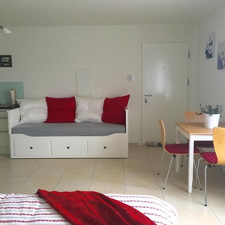 Charming Studio near Rotsee Lucerne Kitchen/WiFi/Wasching machine Exterior foto