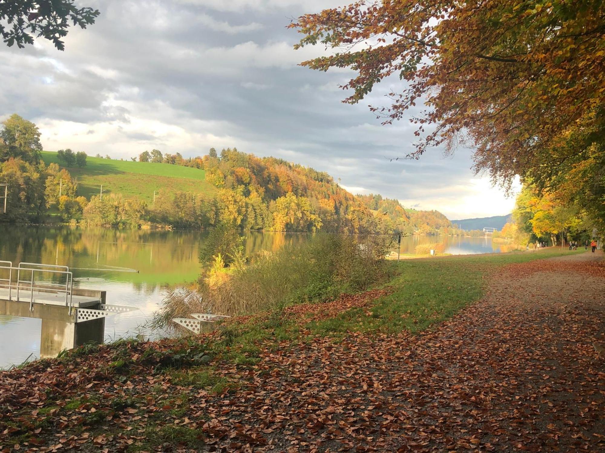 Charming Studio near Rotsee Lucerne Kitchen/WiFi/Wasching machine Exterior foto