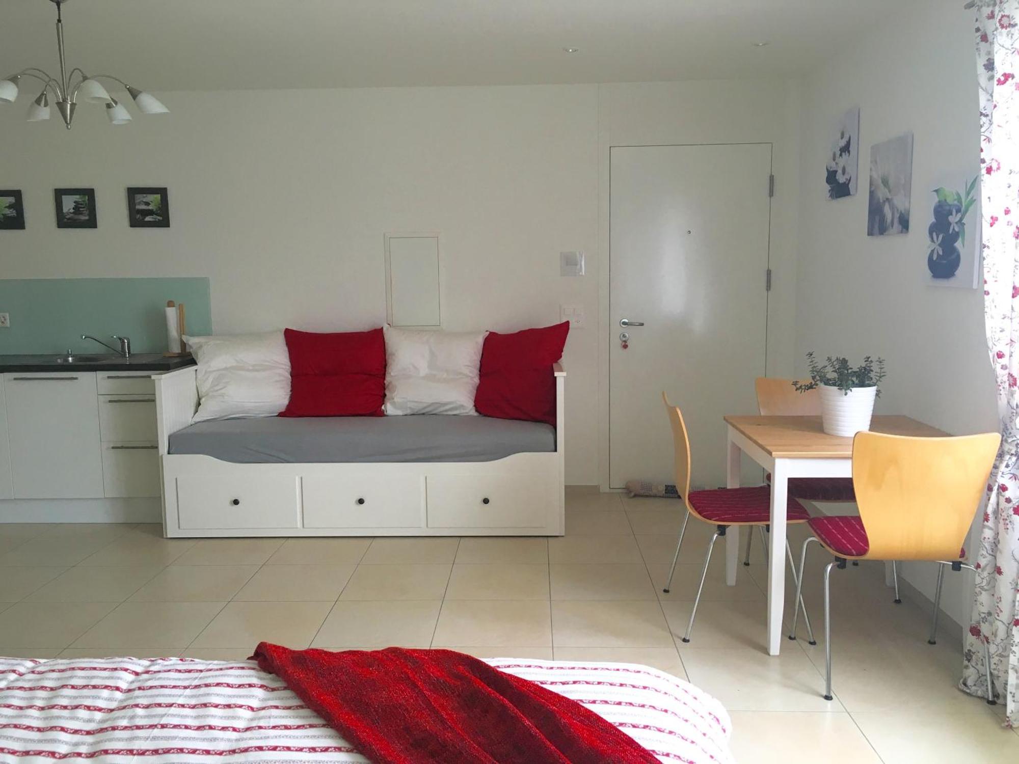 Charming Studio near Rotsee Lucerne Kitchen/WiFi/Wasching machine Exterior foto