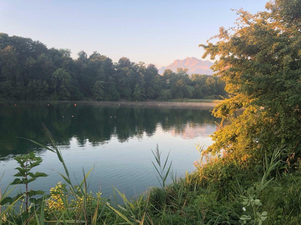 Charming Studio near Rotsee Lucerne Kitchen/WiFi/Wasching machine Exterior foto